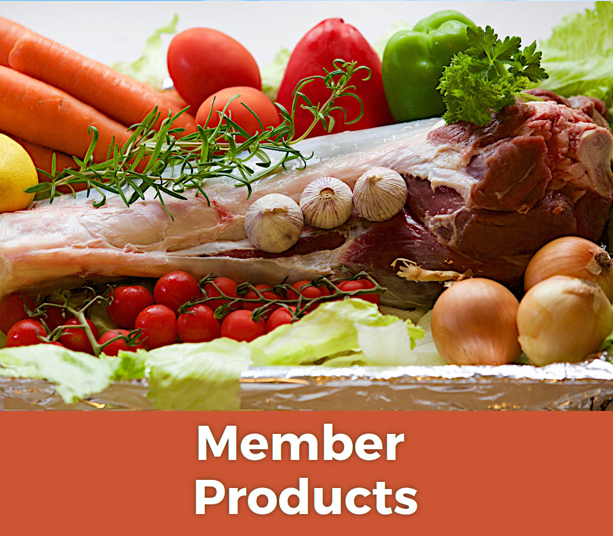 Member Outlets